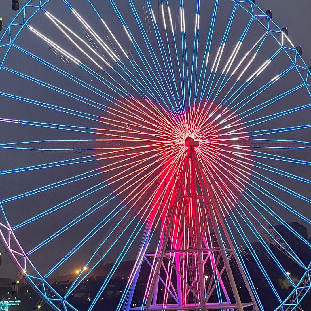 爱吃折耳根的菜菜