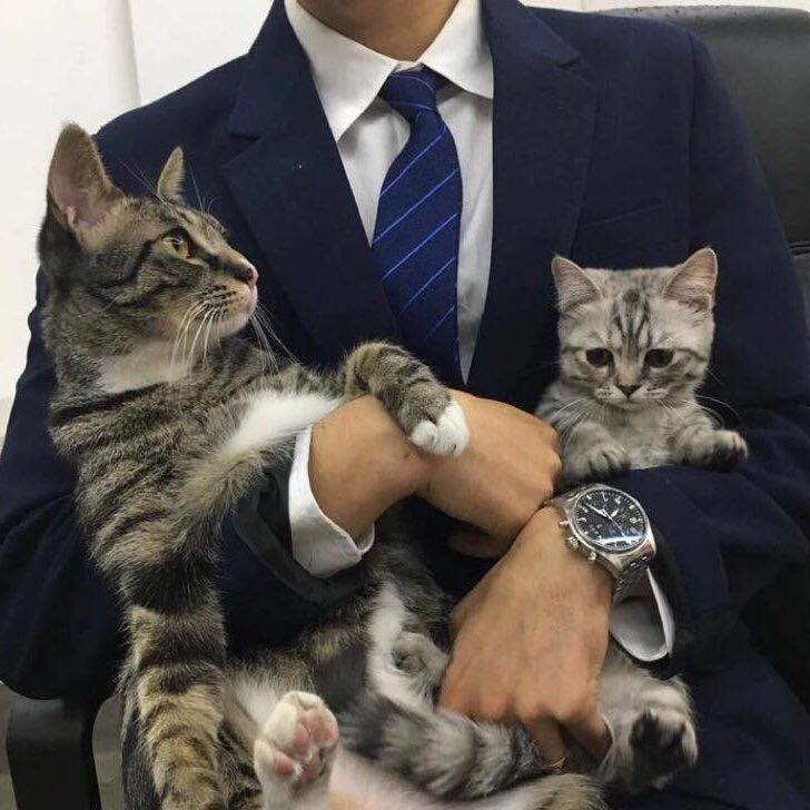 张焕宇
