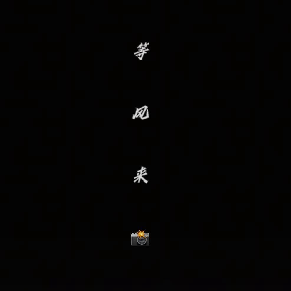 等风来📸