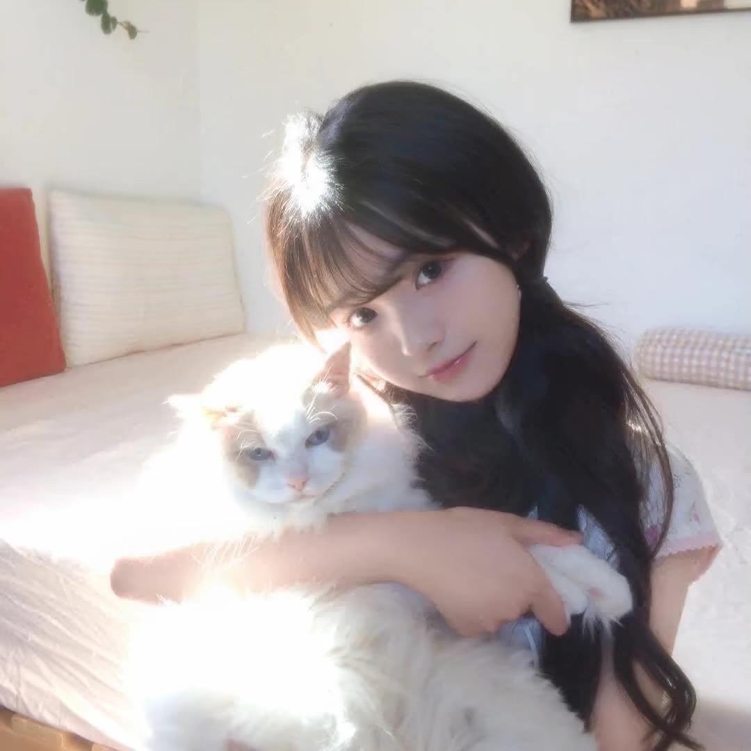 秋杏Tz