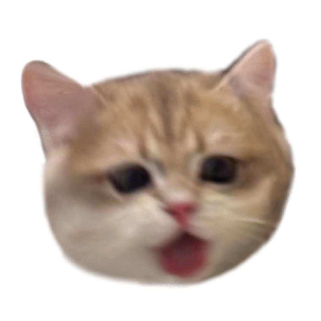 菠萝包