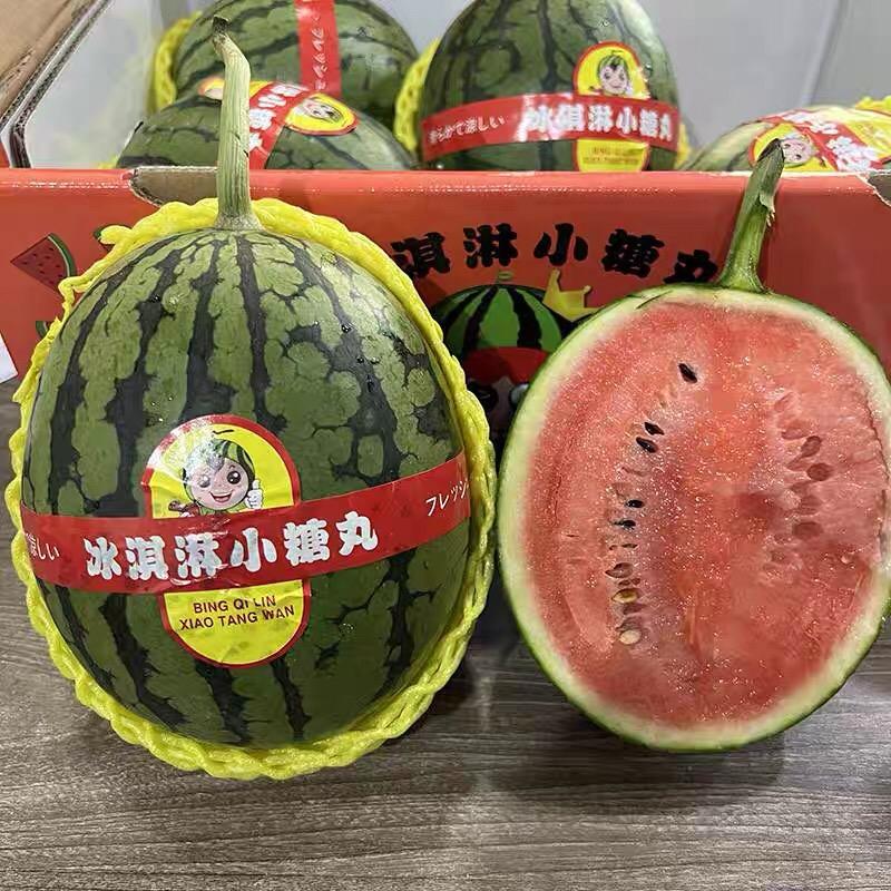 砀山瓜果