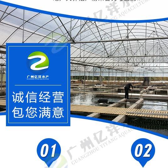 广州亿洋水产