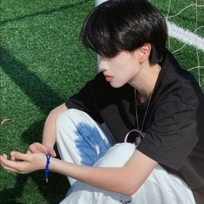 不会飞的龙