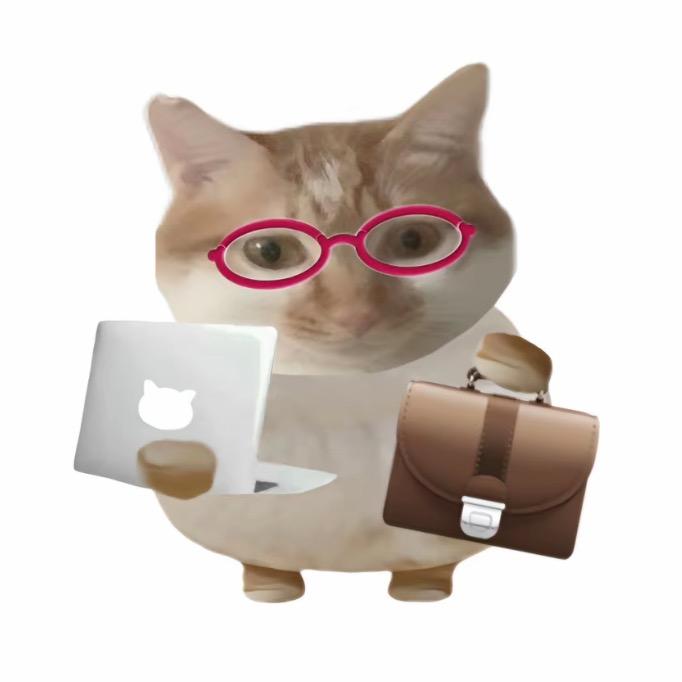 红镜框工作猫
