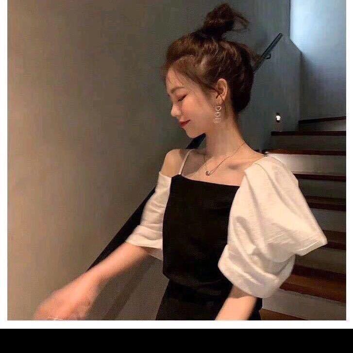 熊猫🐼