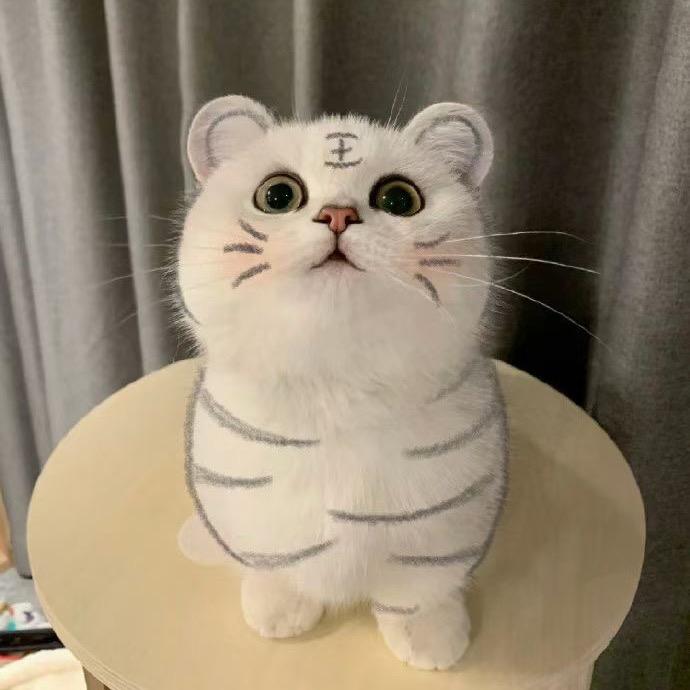 @小可可@