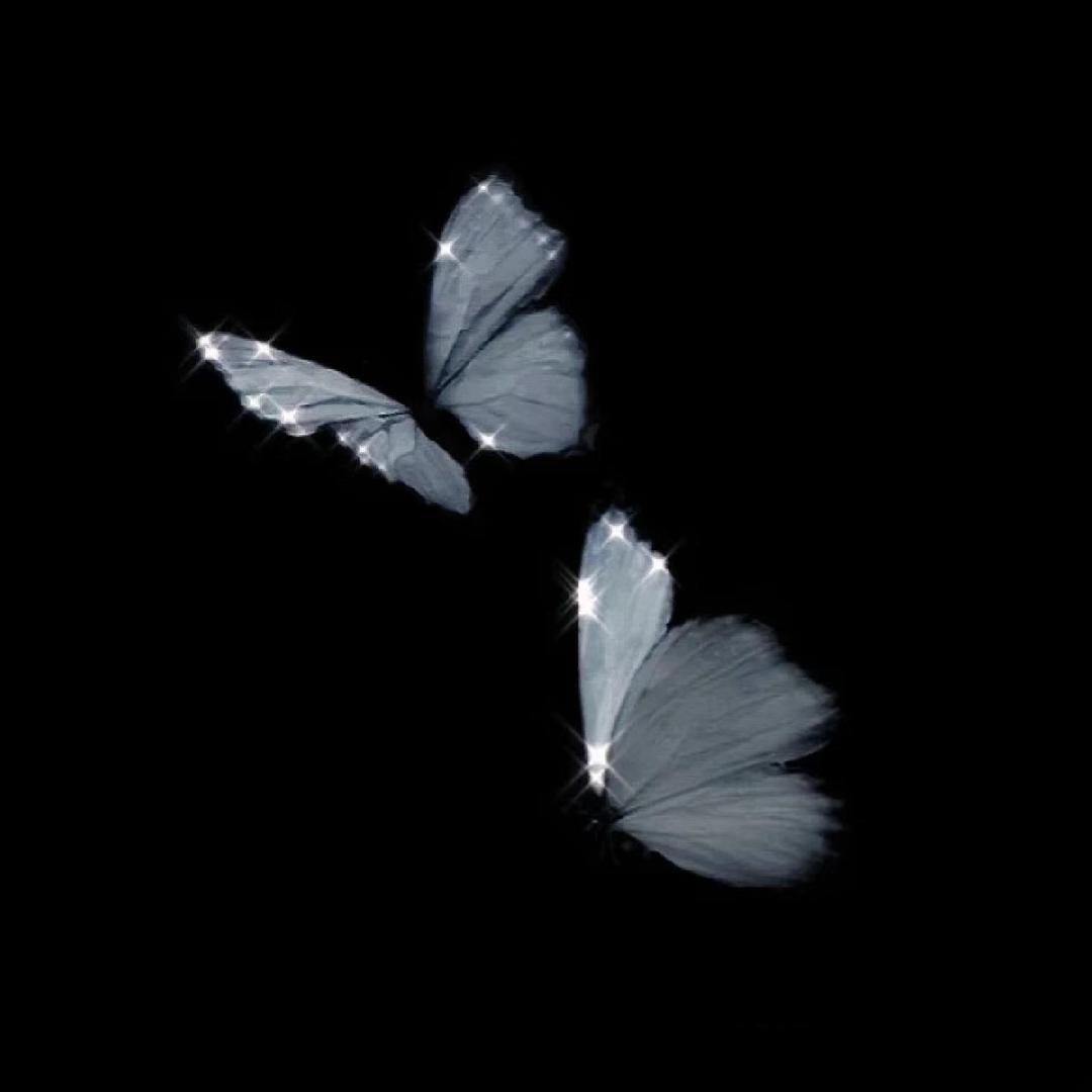 Kerlap安🦋