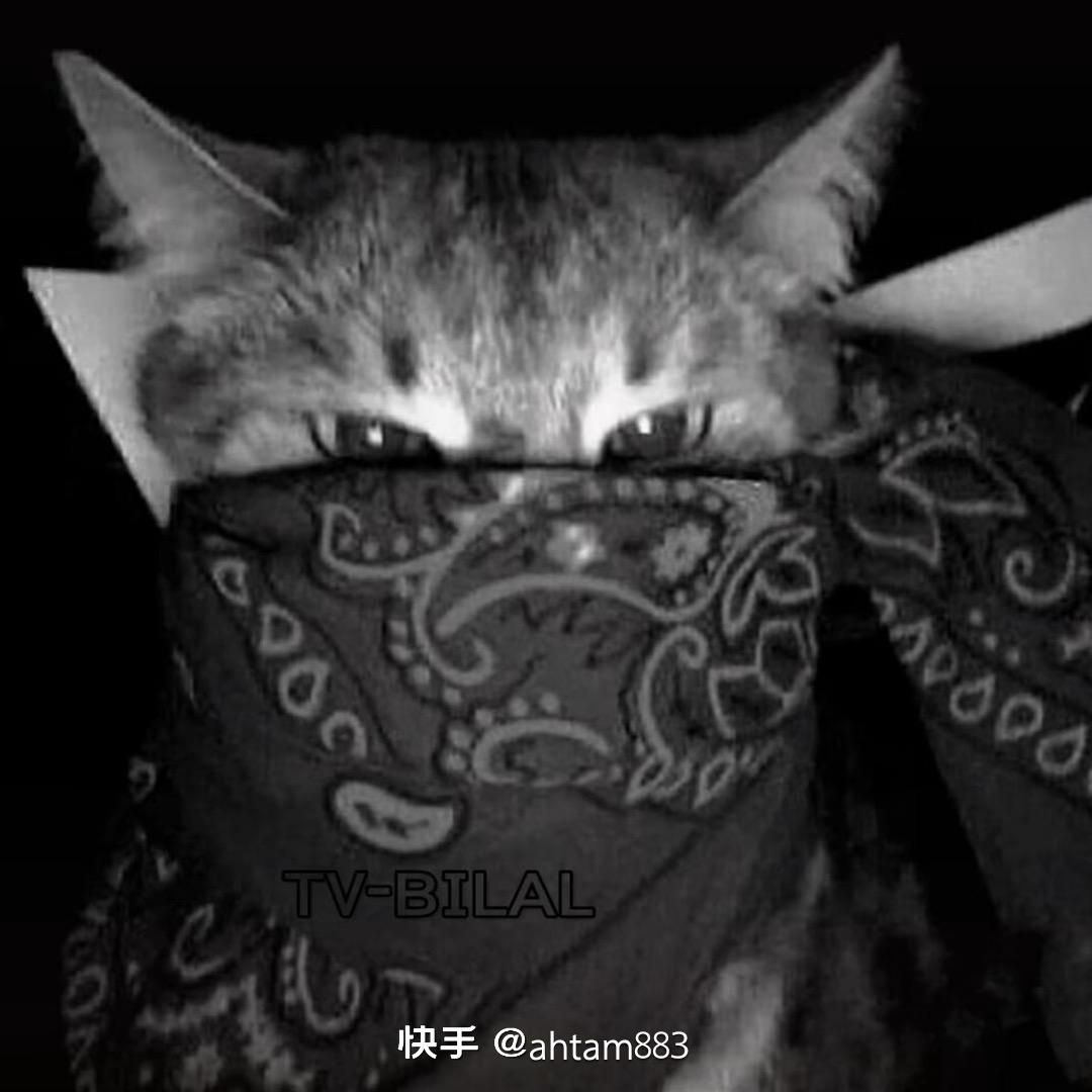 洛浦县漂亮汽车美容装饰中心