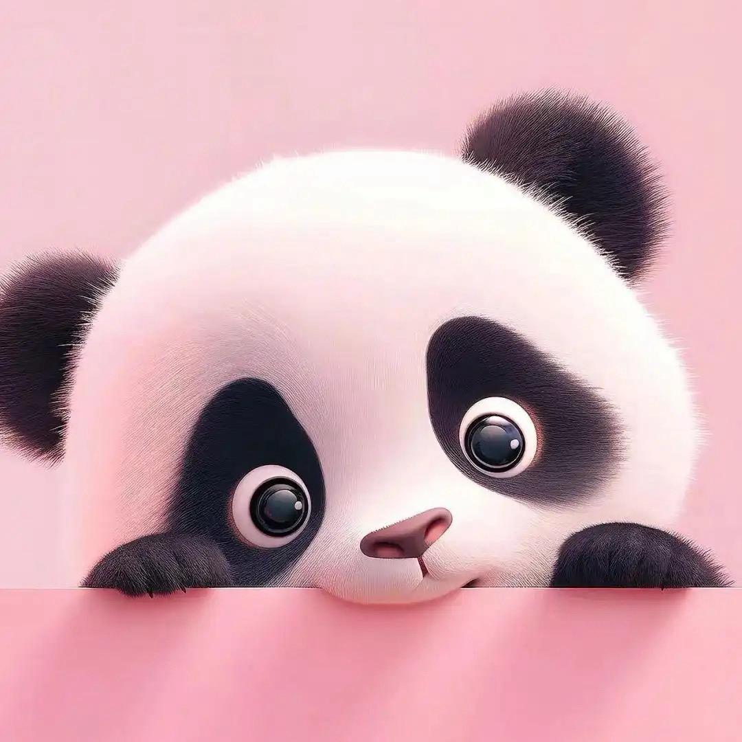 ♑ 🌸🍭小熊猫猫🍭🌸♈