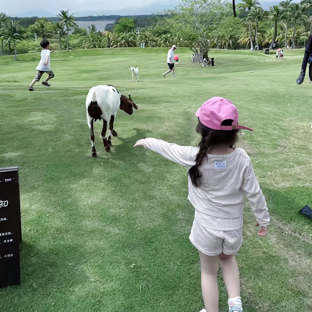 深蓝汽车打工仔-煎饼