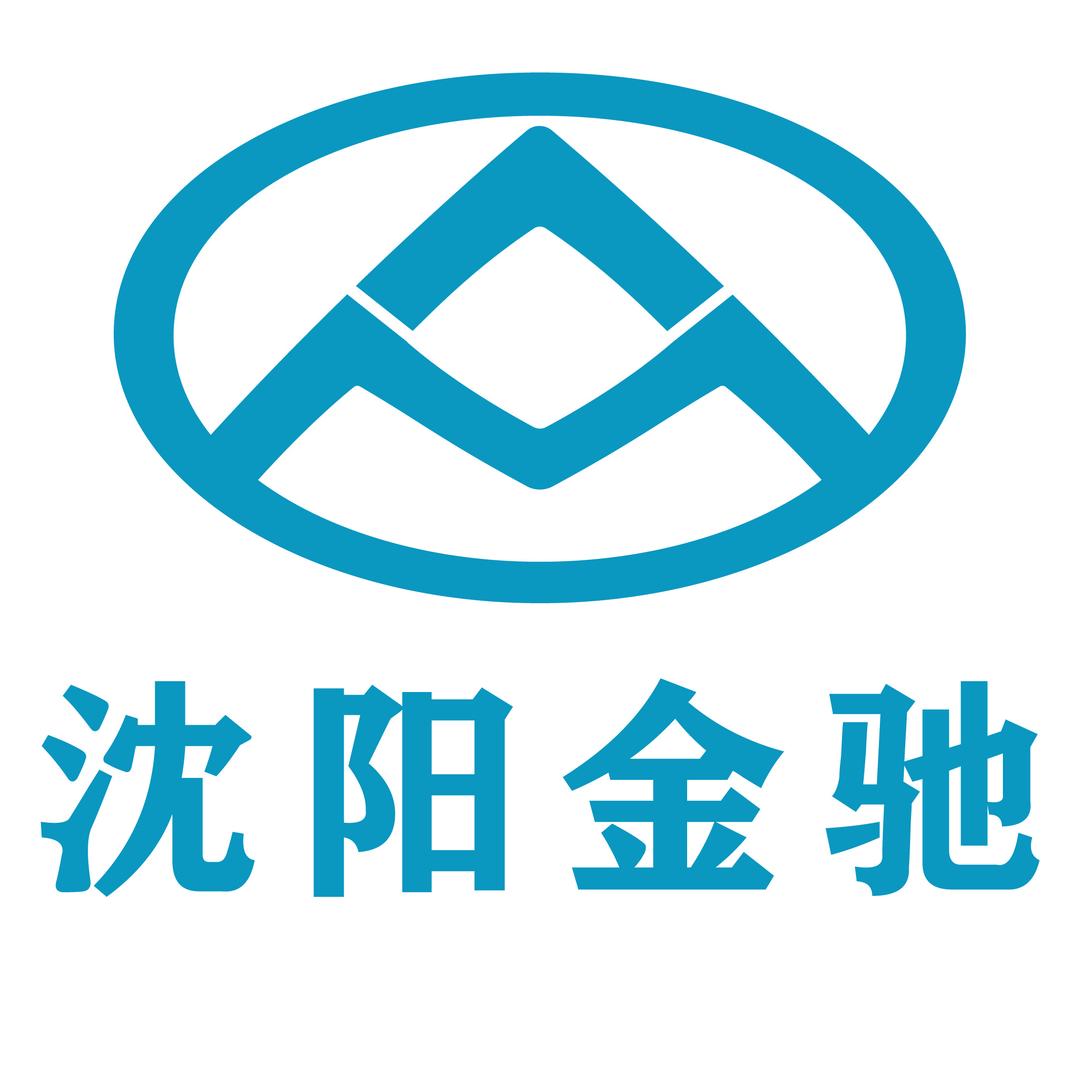 大通皮卡沈阳金驰