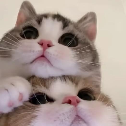 󠀀  󠀀 ᅠ
