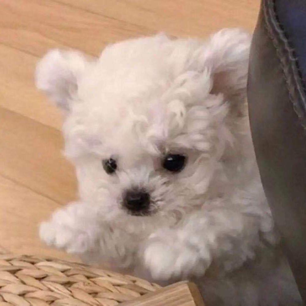 救救命