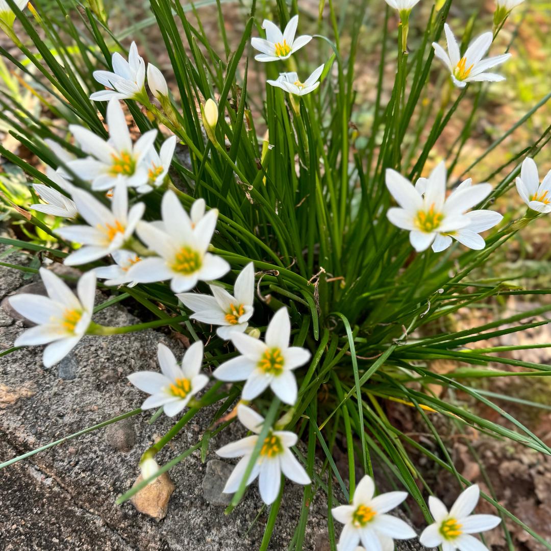 💱ฅ鱳▫️鬻🧚‍♀️