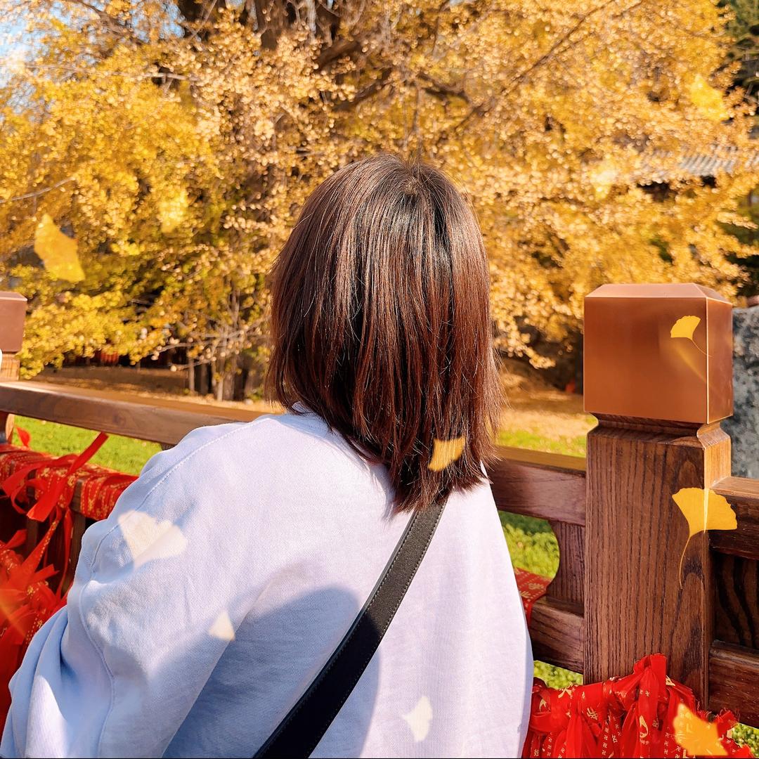 甜蜜蜜♥L⊹*★iu 🌸