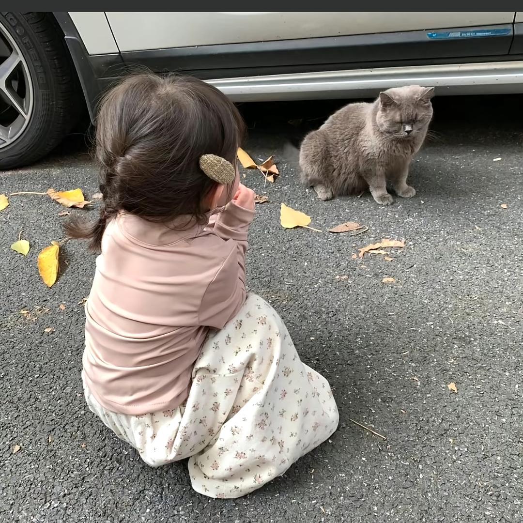 汤圆丸子-