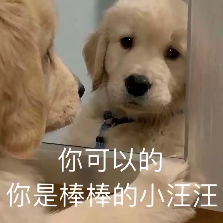 一个大不溜