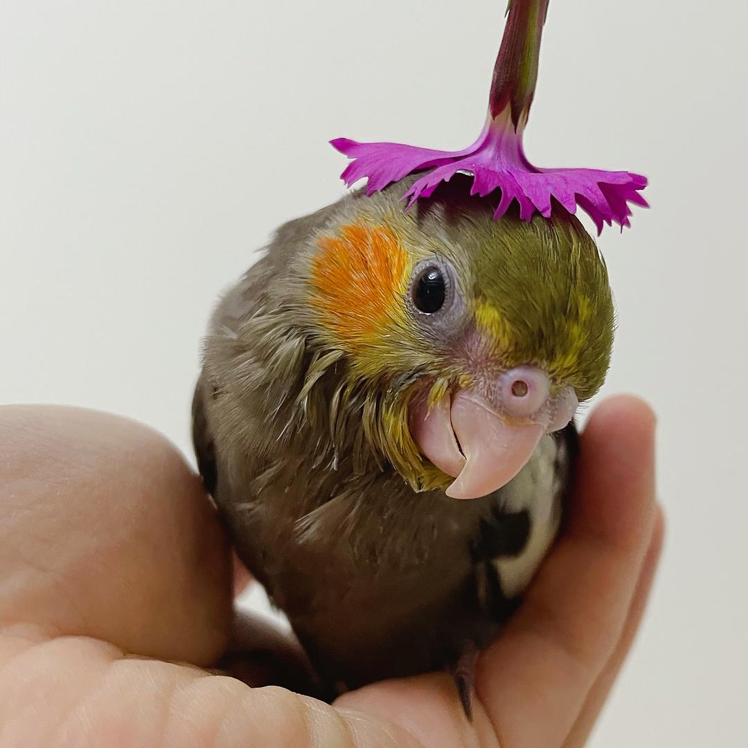 田耀祖和卢光宗的家