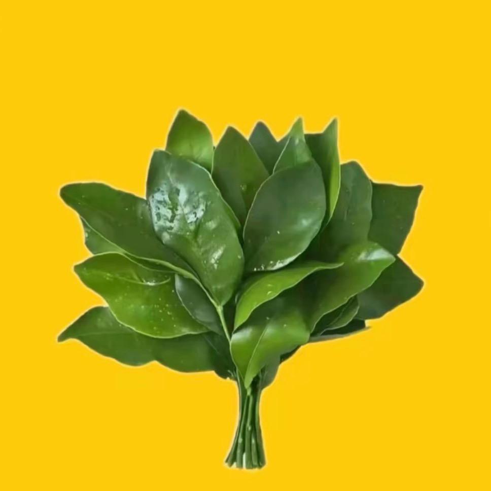 清源生鲜