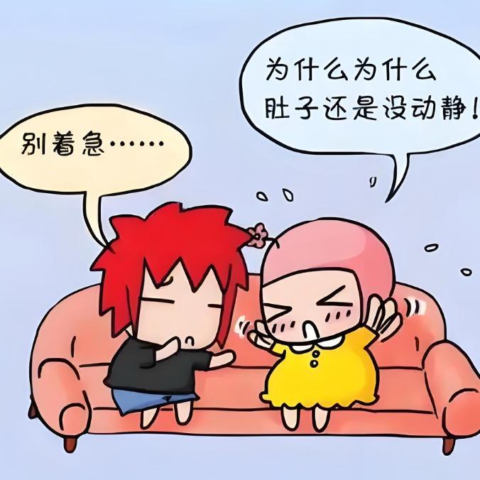 昆明备宝王主任