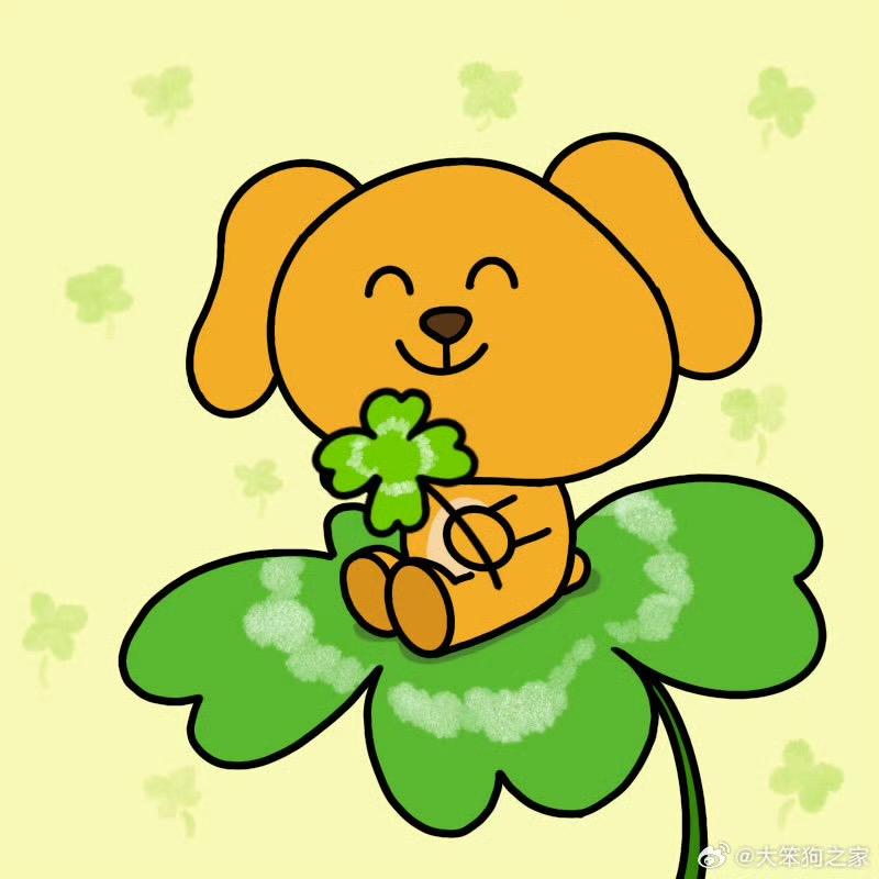 你的温柔像羽毛