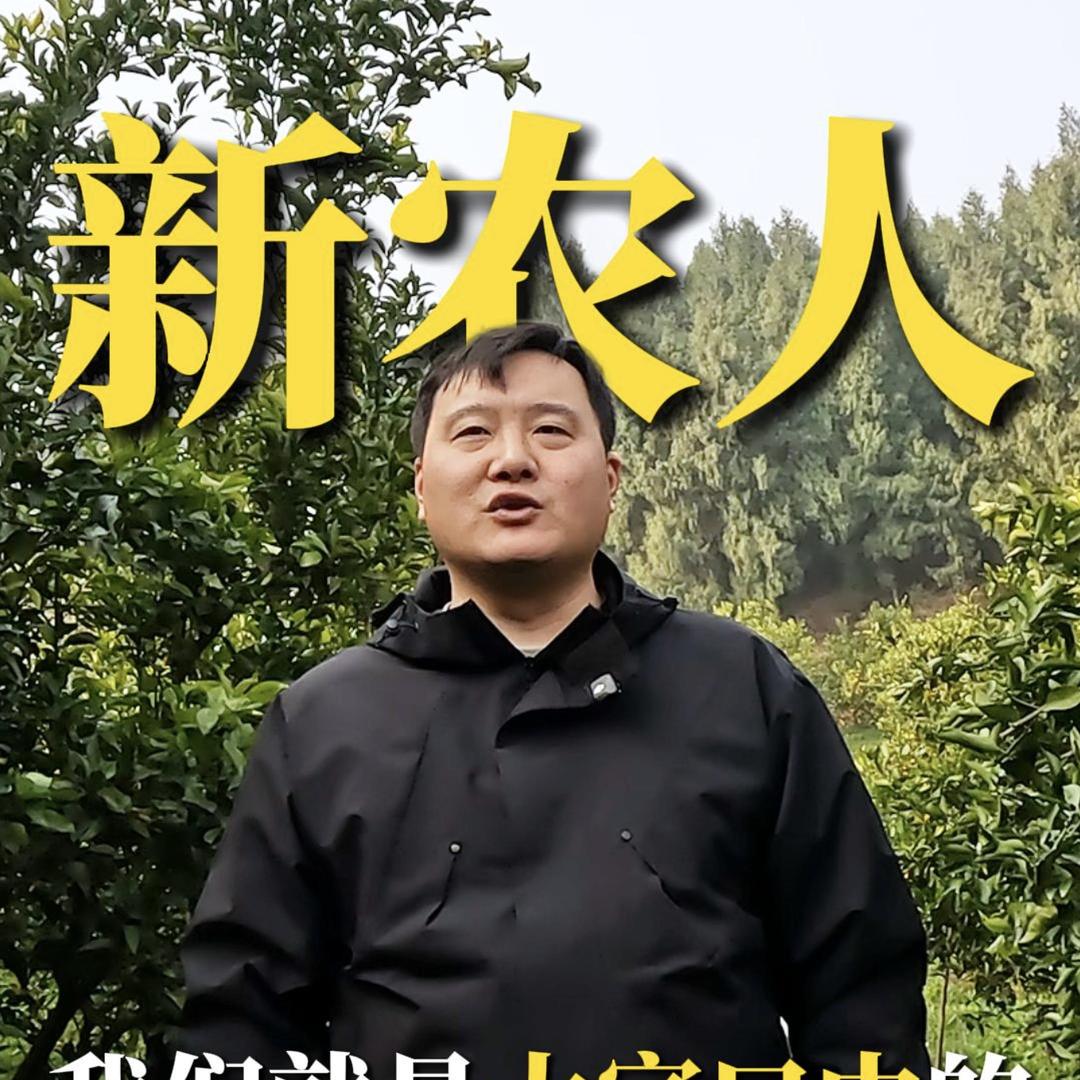 程橘长