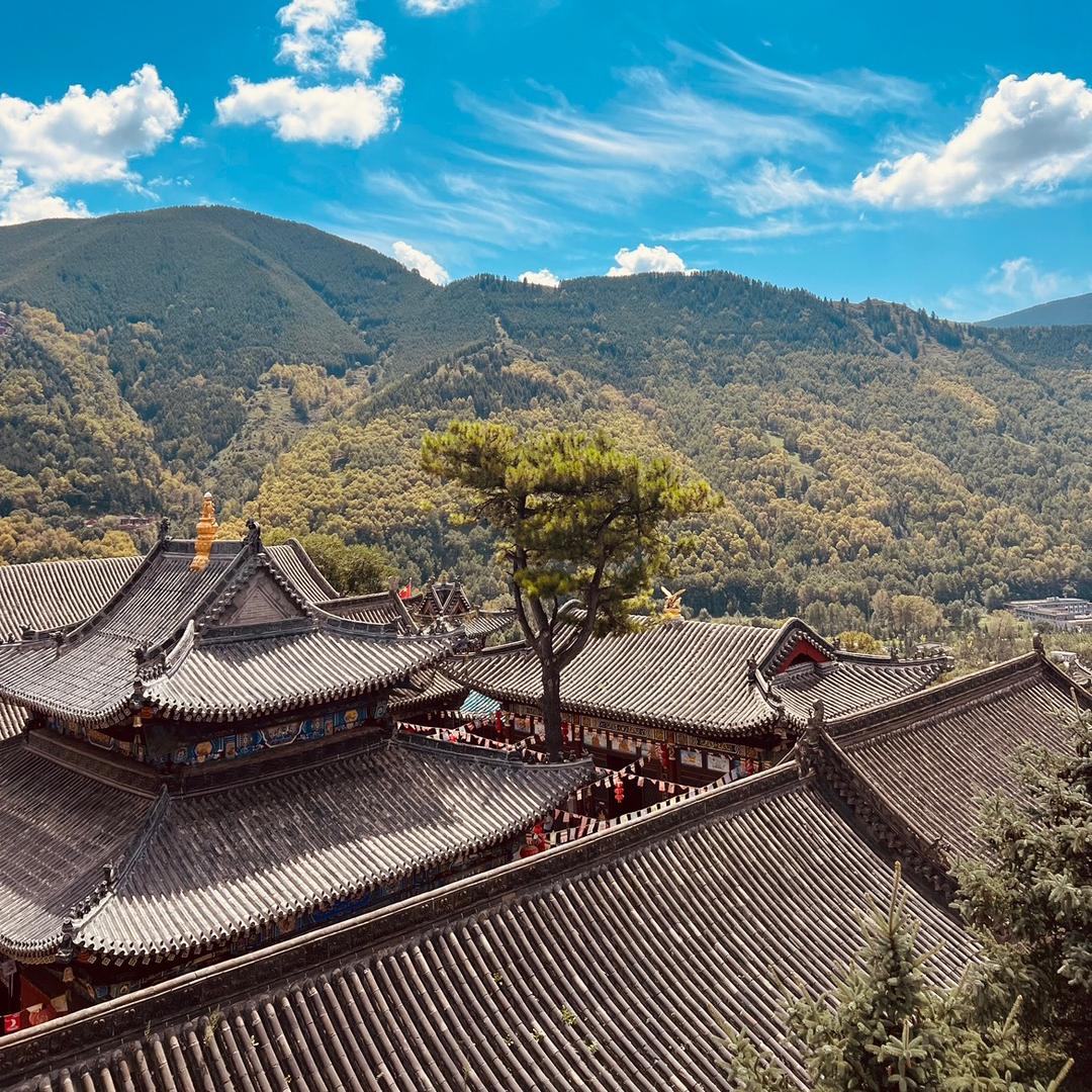 电缆回收-铜百万