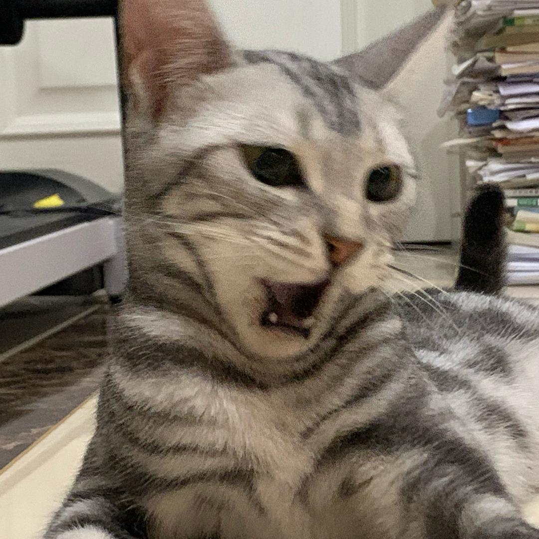 秋风