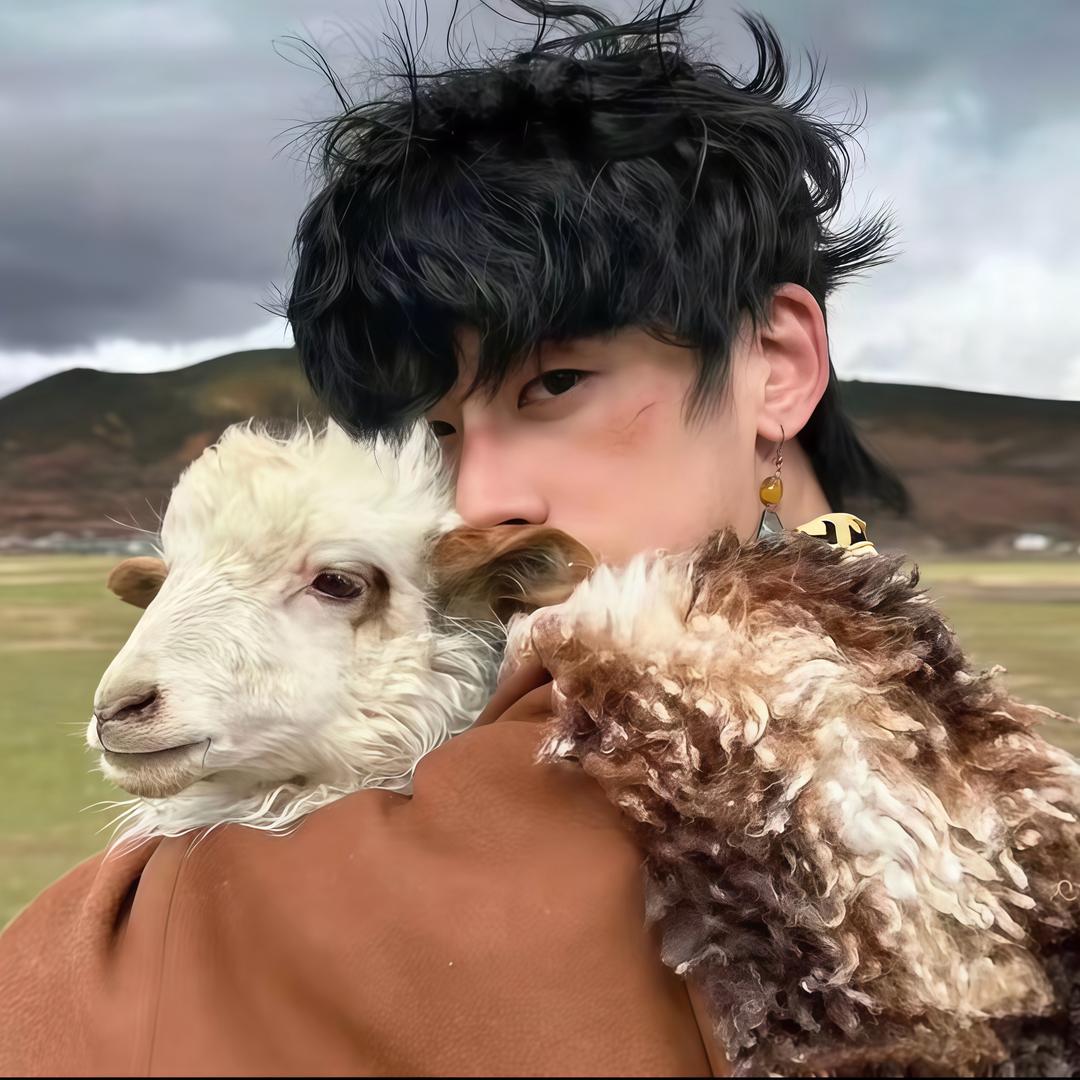 Sheep