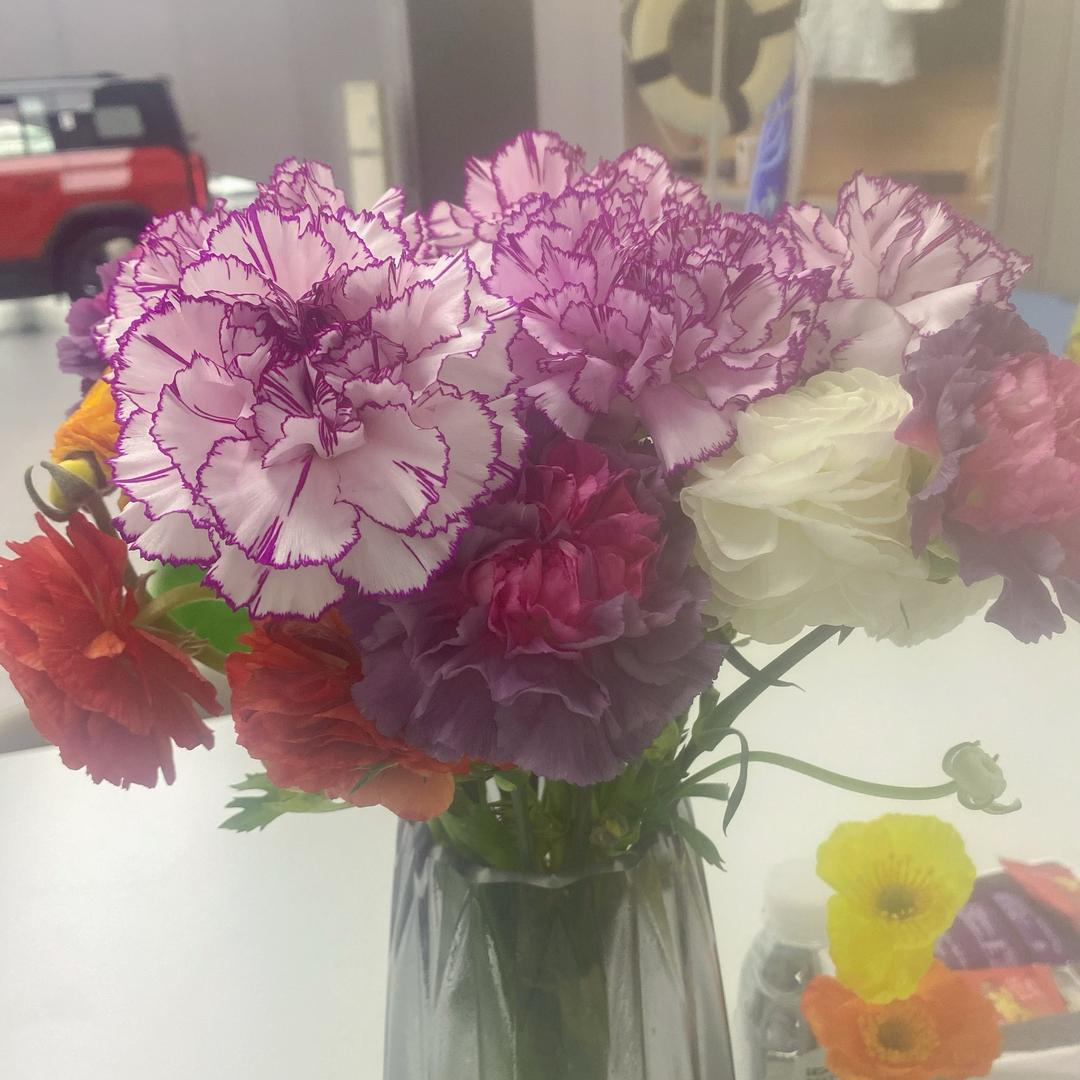 wjw663214熟悉的笑脸🎶查言多谢