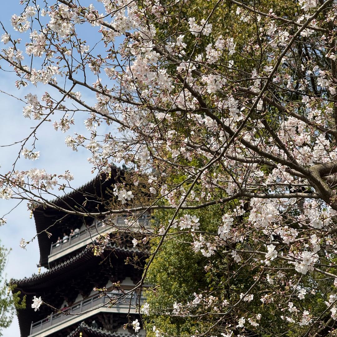 空城