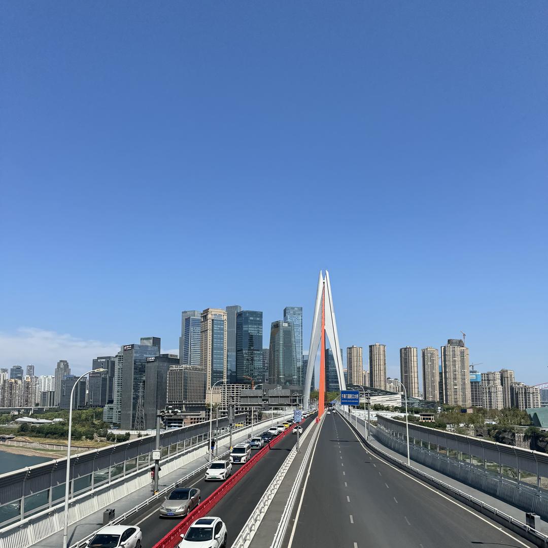 舒奇直播号
