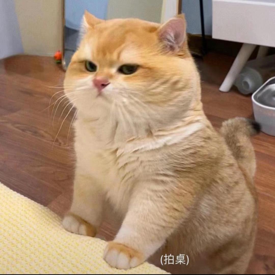 晚意橘.🍃@抖音