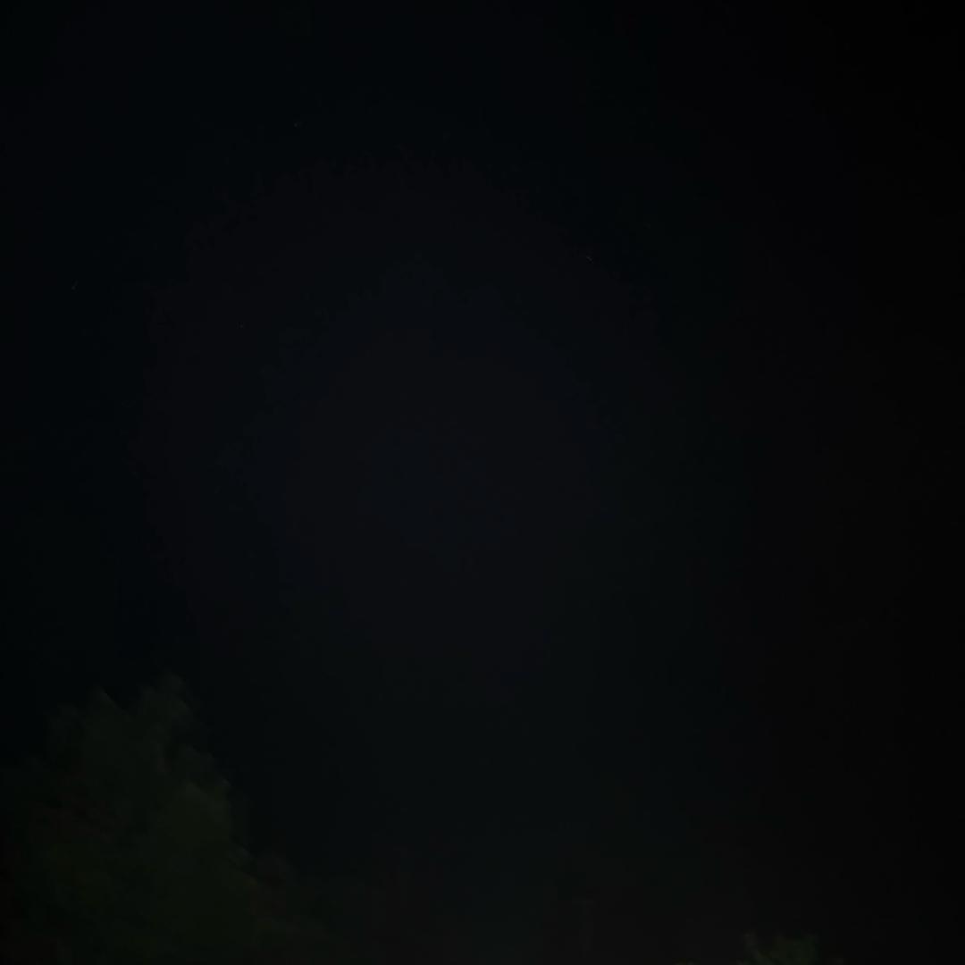 陈奥雷