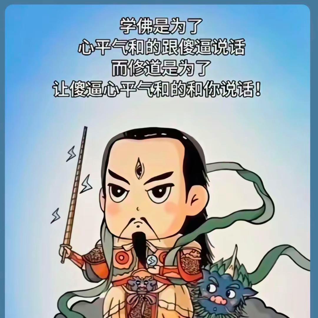 紫竹无心@Mr