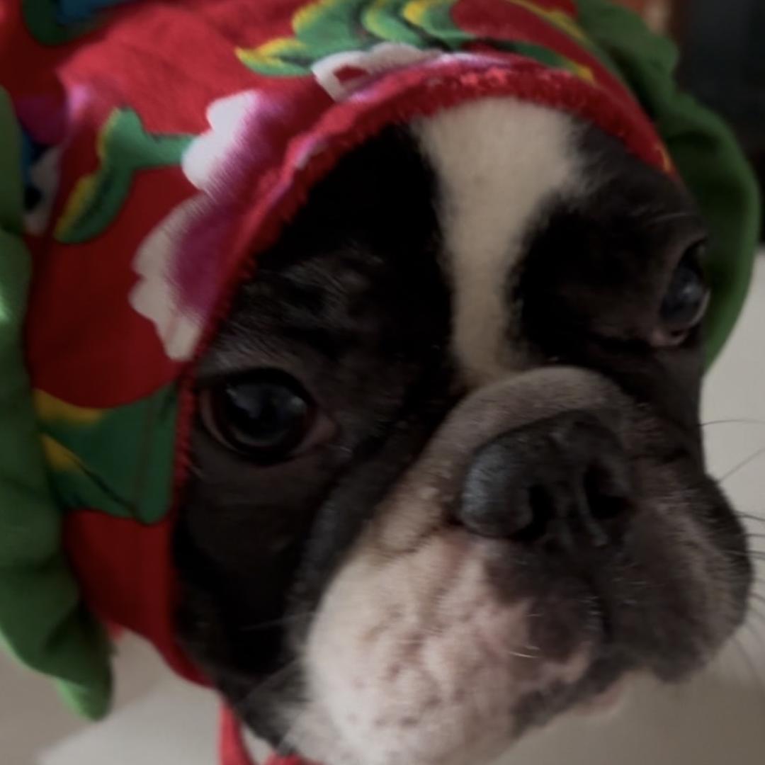 宇宙超级无敌巨无霸爆炸噼里啪啦可爱乖🥝