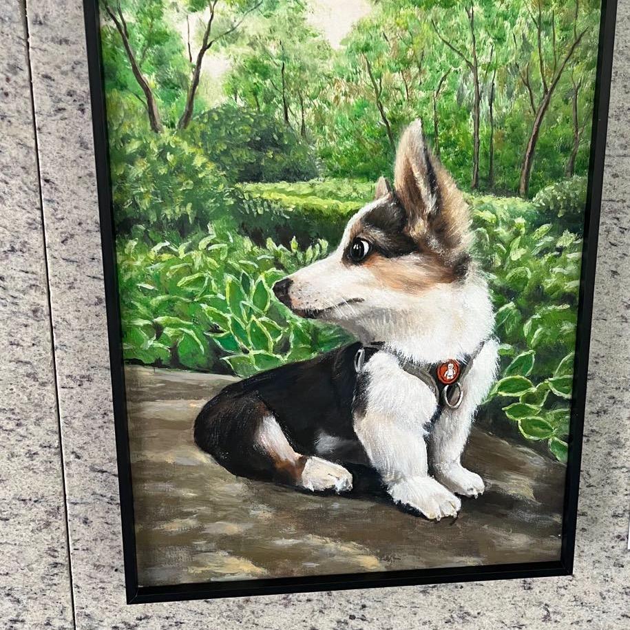 宁宁呀🍒