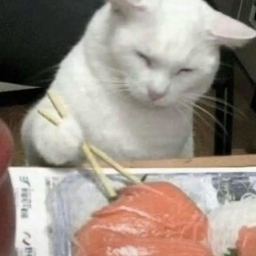 小升初失败变成小出生