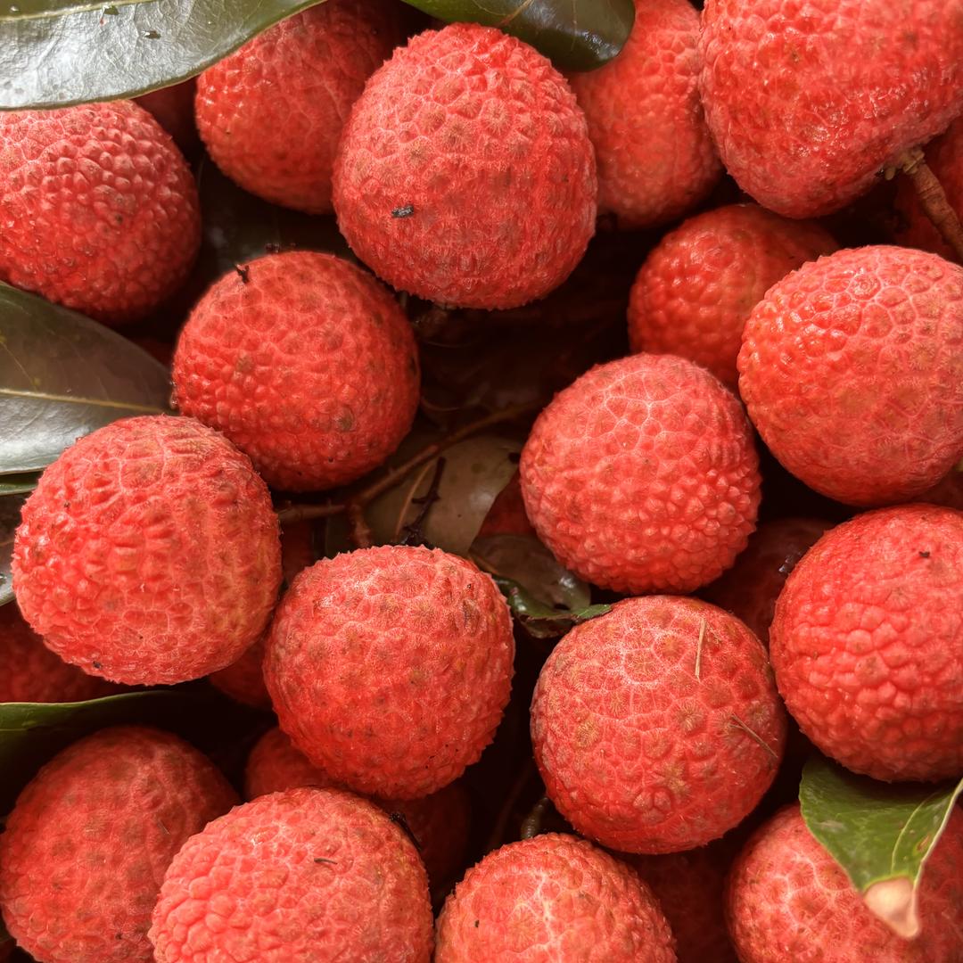 大胖姐荔枝严选