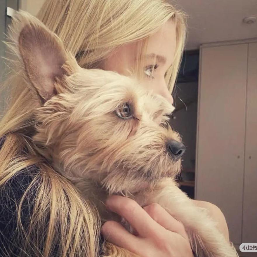 难哄小掌柜（辩论版）