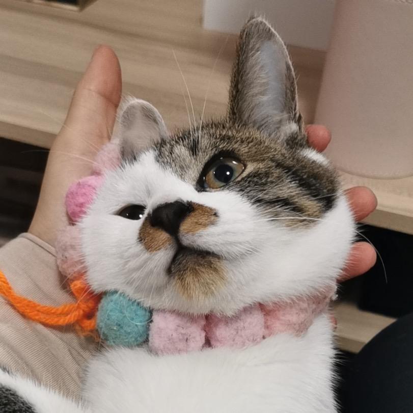 我是波妞