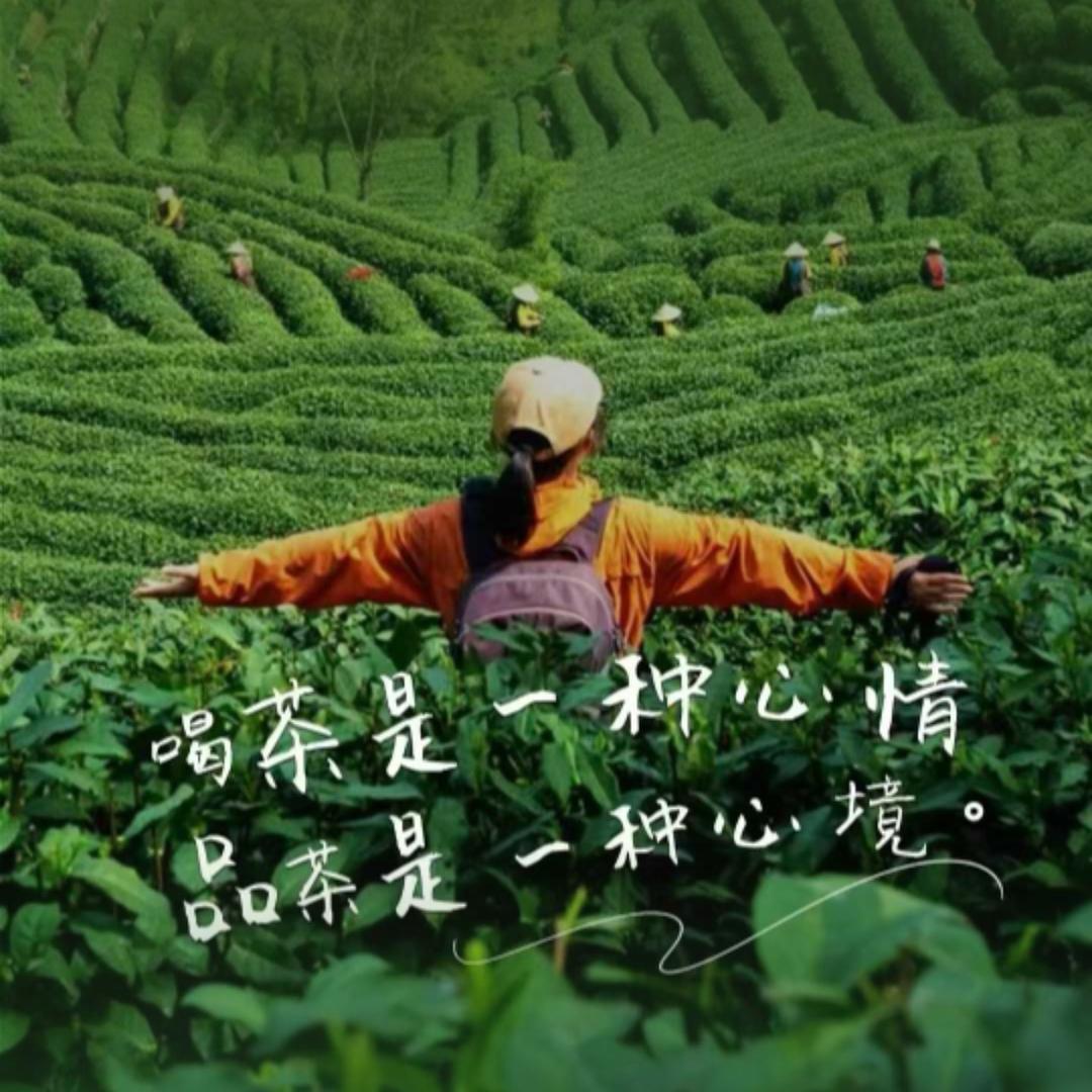 茶韵.茶庄