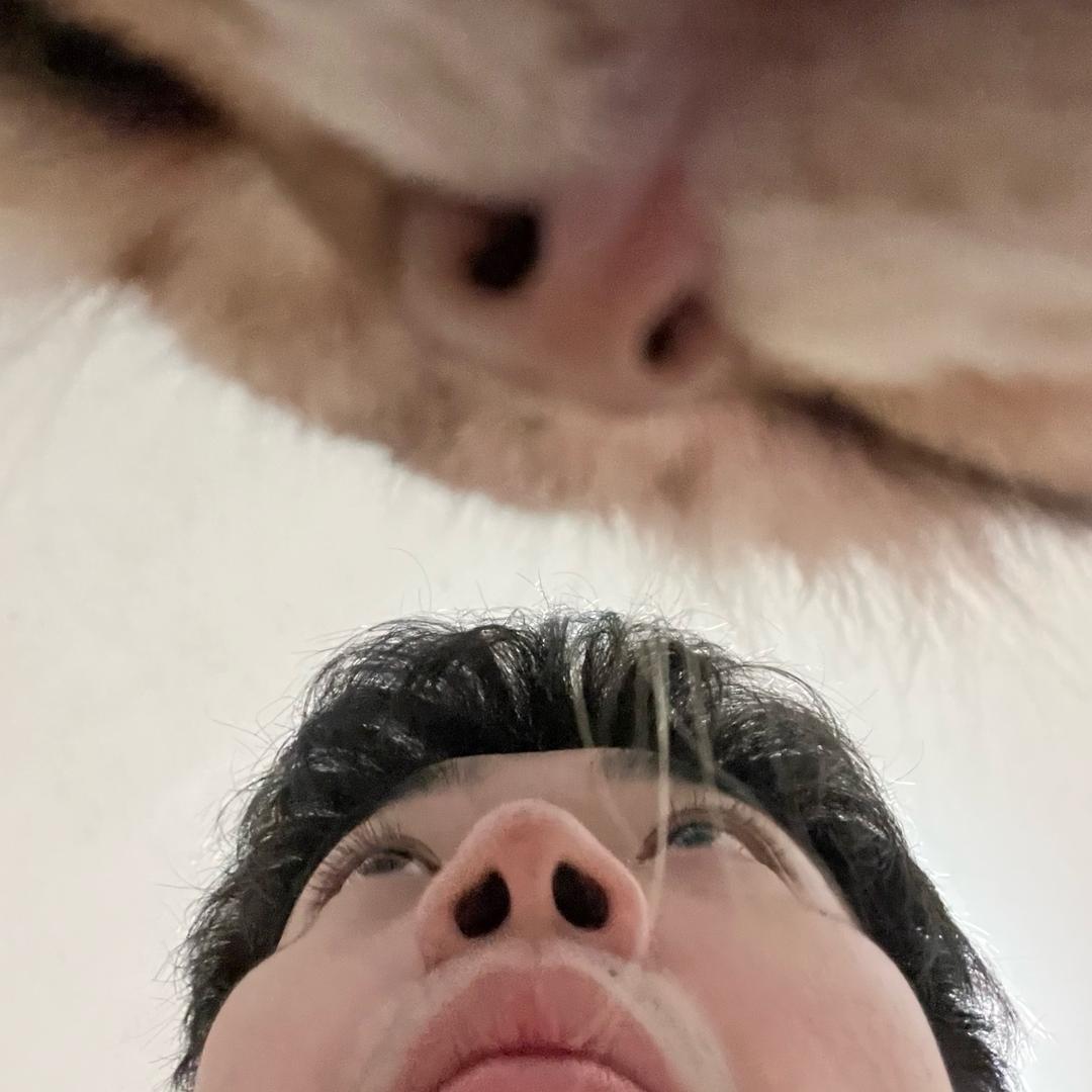 陆地上的超人