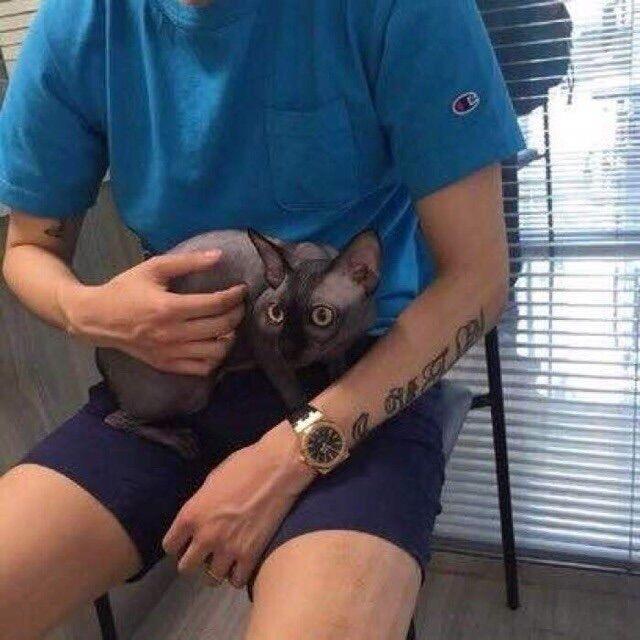 坛子