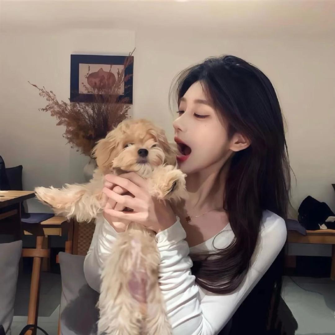 小杨又困ˡᵃ💤