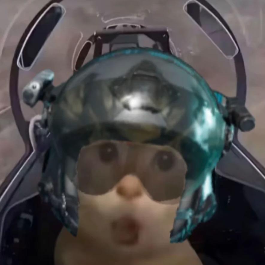 老耄耋 巴克什区王