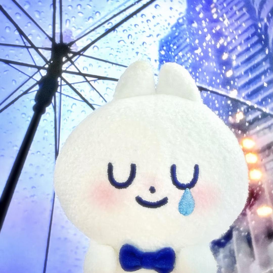 181长的小高玩