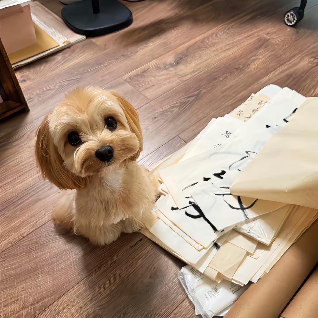 我爱吃咸蛋黄火鸡面