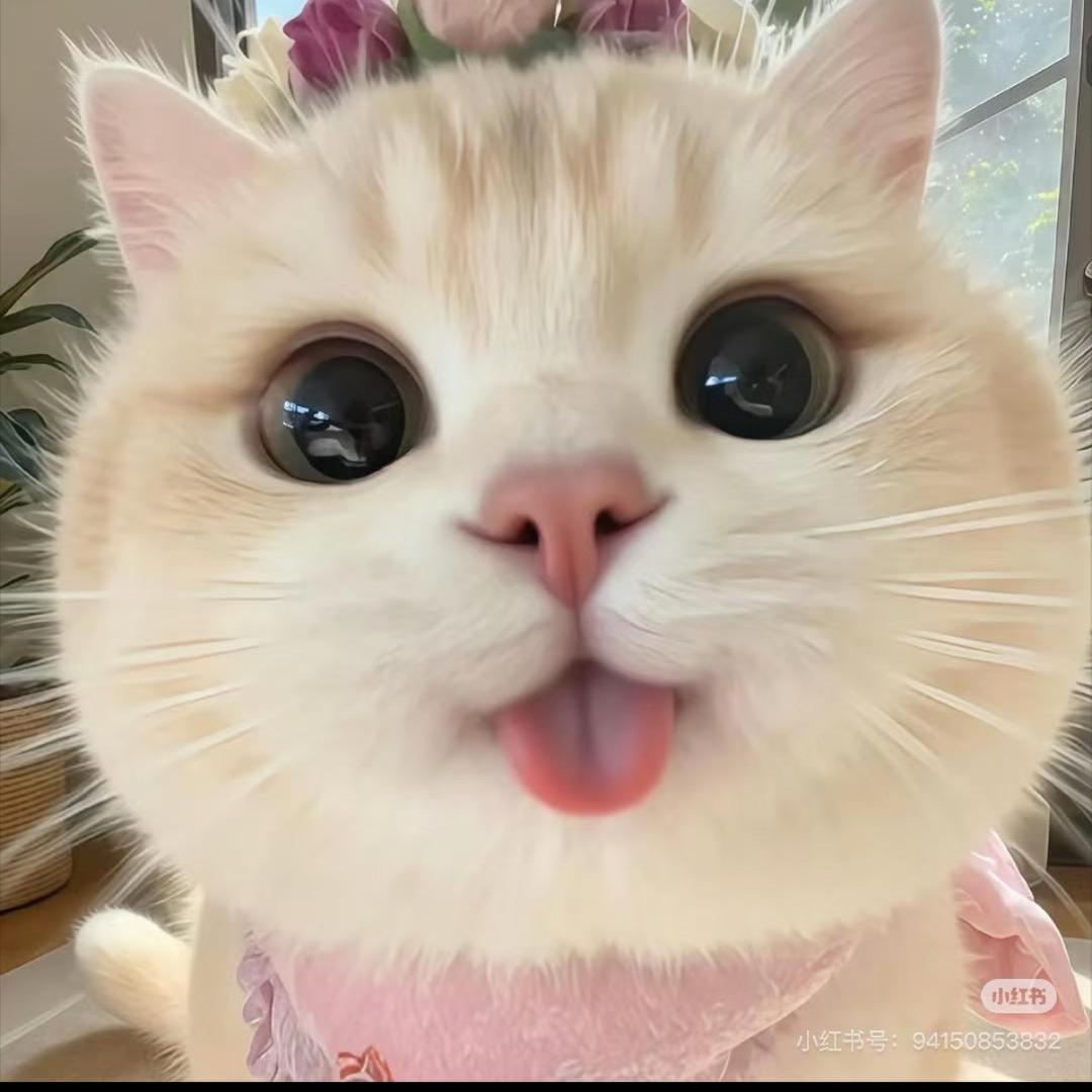欣欣子^